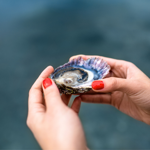 1 Oyster opening